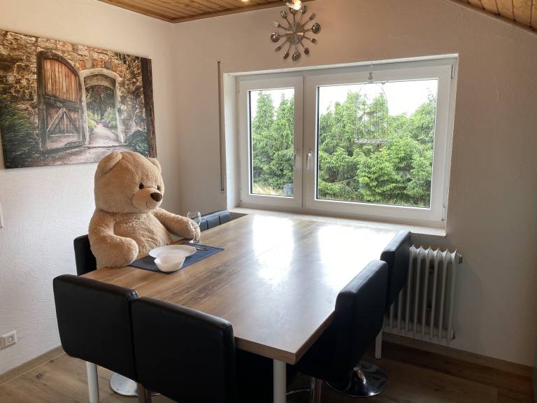 Ferienwohnung Friedrichshafen