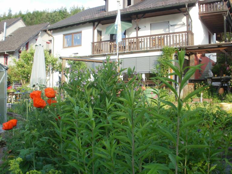 Ferienwohnung Gemünden am Main