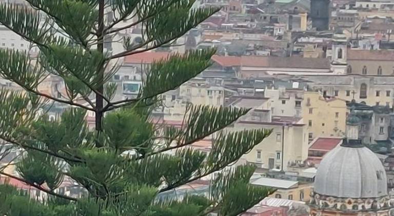 House | Near Galleria Umberto I | Pets allowed in Naples