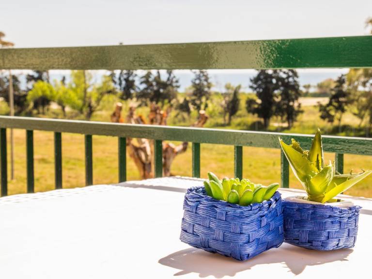 Appartamento vacanza Giardini Naxos