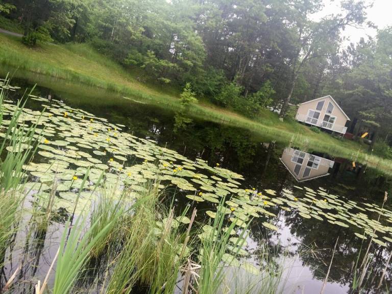 Cabin  Hayward