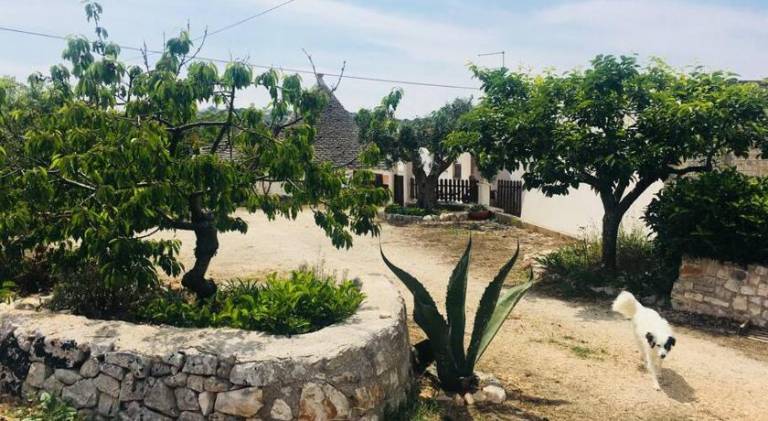 Ample apartment | Pets allowed in Locorotondo