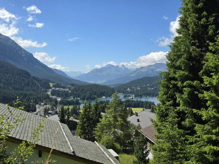 Appartement Lenzerheide