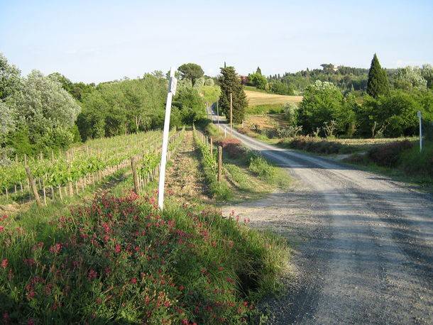 foto13