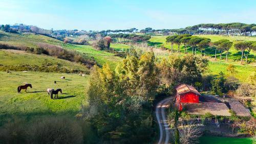 Casale Roma
