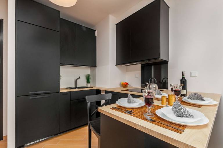 Comfortable Apartment with Parking near Progresja Music Club — photo 3