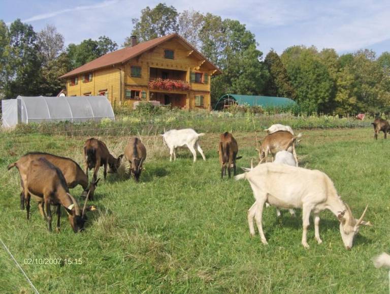 Chalet Foncine-le-Bas