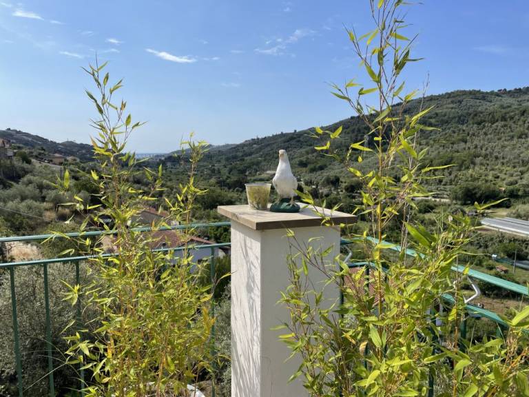 foto22