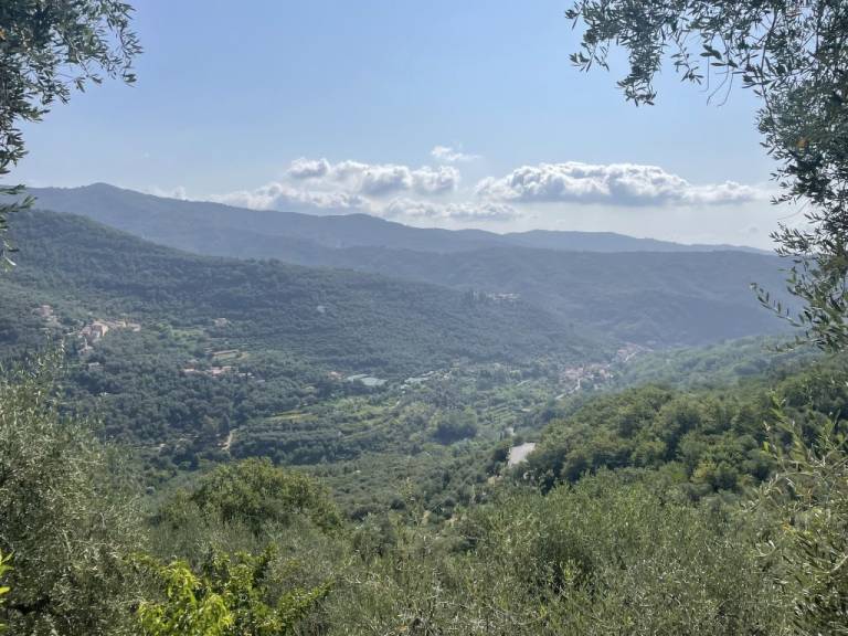 foto14