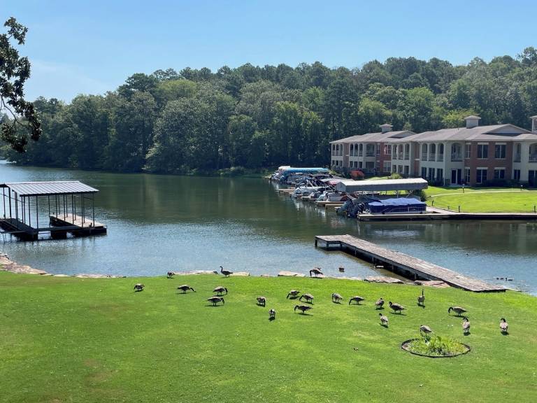 House Lake Hamilton