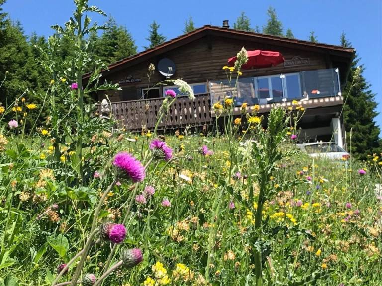 House with patio, garden & sauna | Mountain view in Arosa