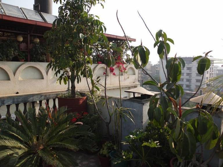 Festoon Hotel in Kathmandu