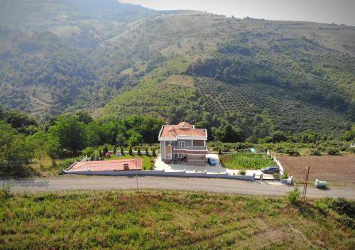 Villa  Büyüklü