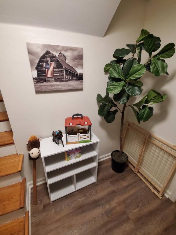 foto31