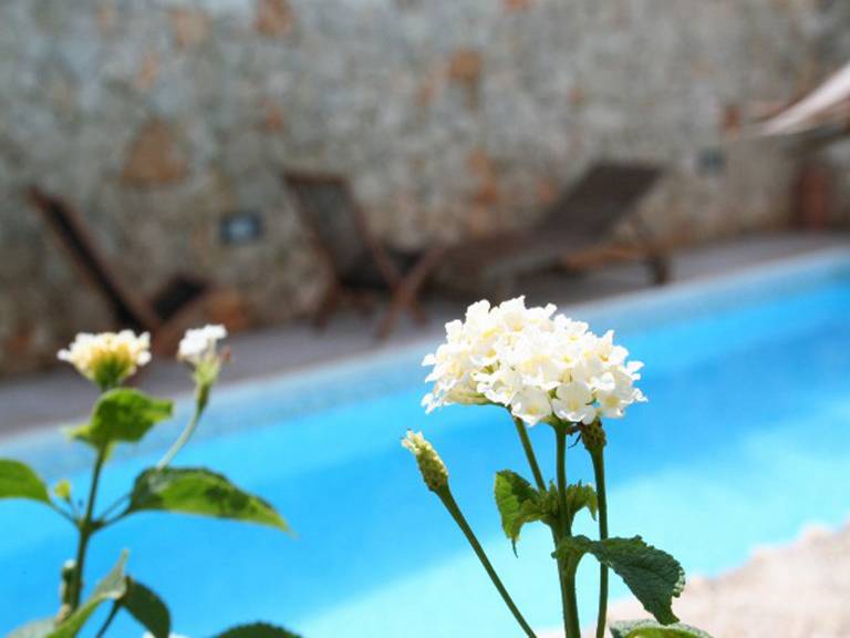 Apartment with garden, pool & grill | Garden view — photo 4