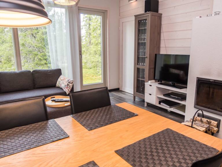 Vacation home with sauna — photo 4
