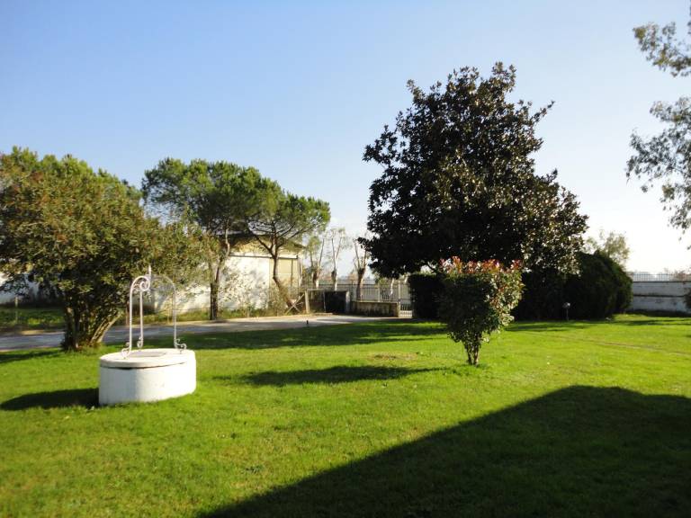 foto10