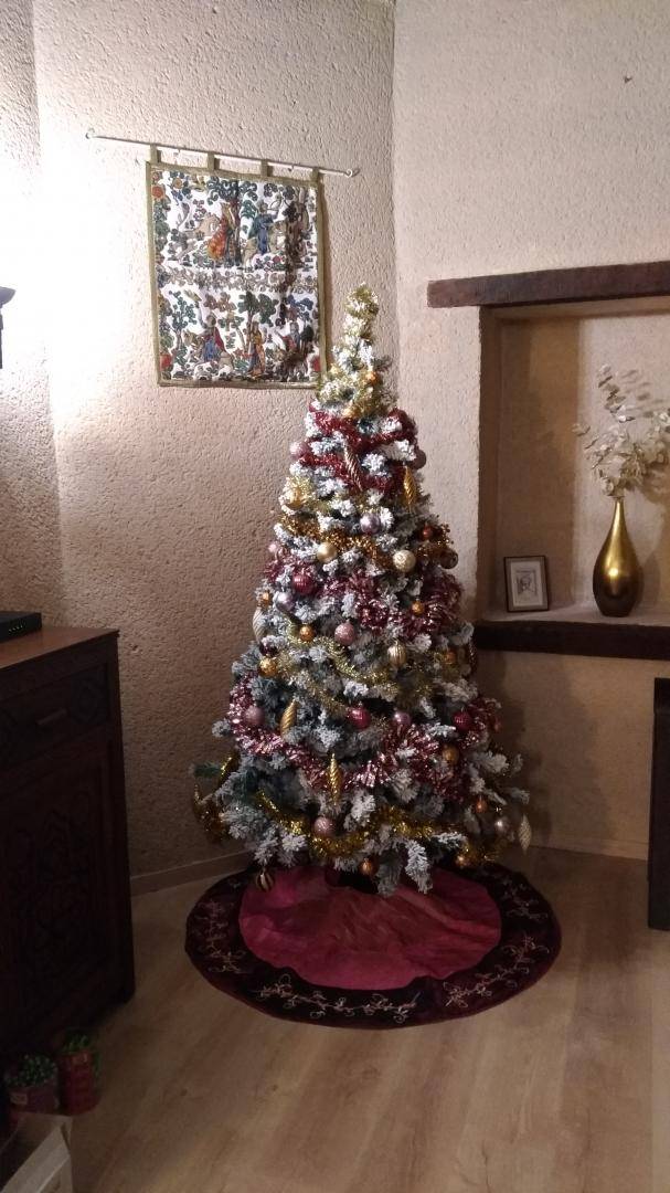 foto16
