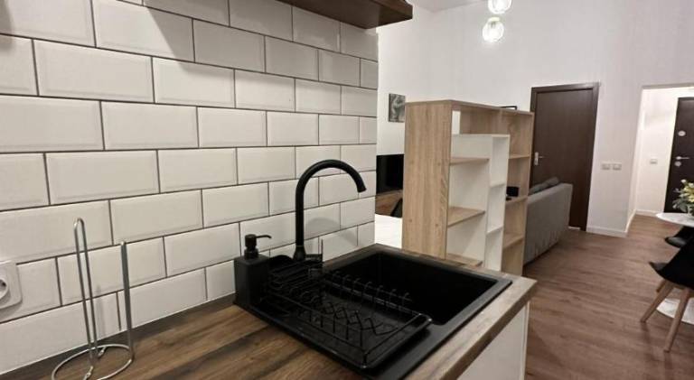 Cismigiu Apartments — photo 5