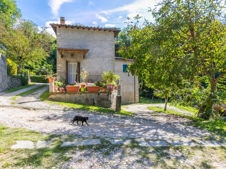 Children-friendly lovely vacation home with terrace, barbeque & private pool | Nature view | Dogs allowed — photo 2