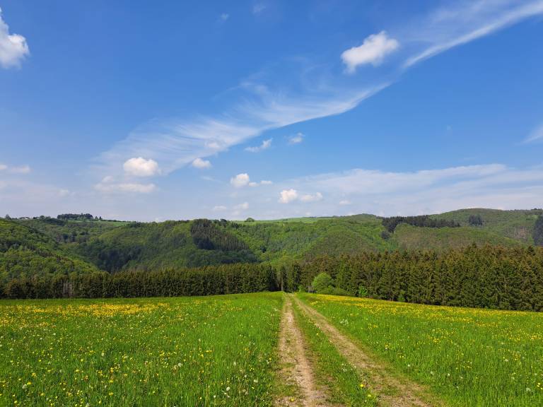 foto16
