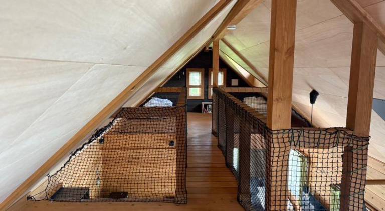 Beautiful chalet | Pet-friendly — photo 3