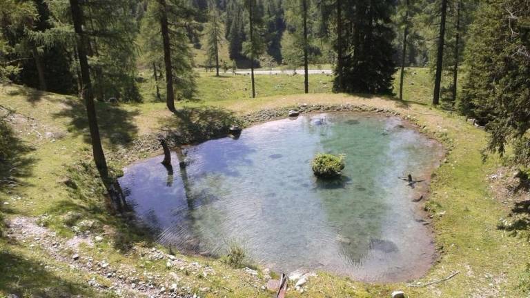 Ferienhaus in Untertauern, Obertauern f&uuml;r max. 14 Personen