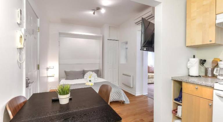 Lovely apartment | Near Notre-Dame Basilica | Pets allowed — photo 3