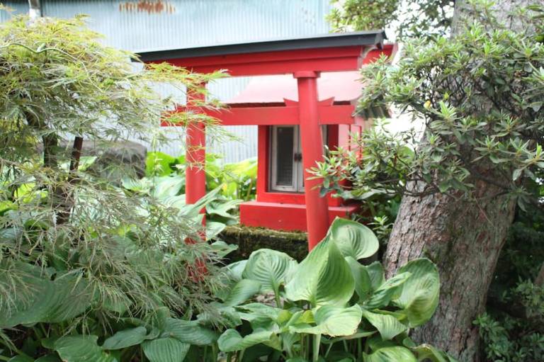 foto12