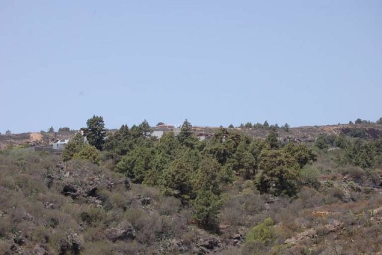 Leilighet Granadilla de Abona
