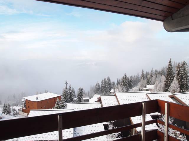 foto1
