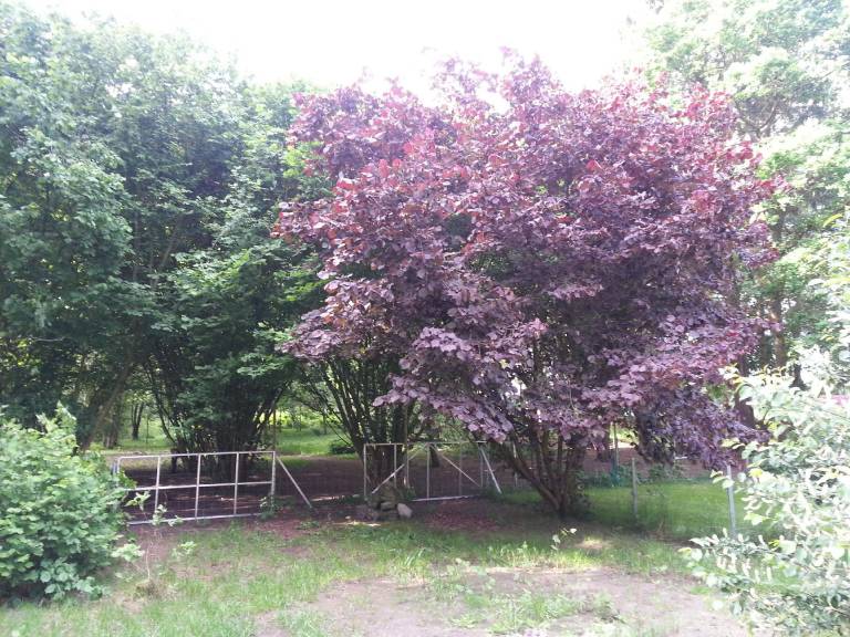 foto12