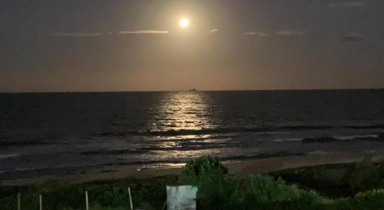 foto41