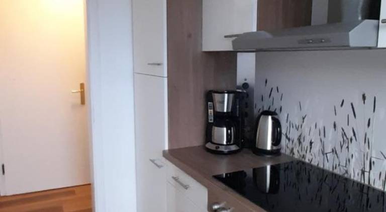Ferienwohnung Wiesenblick mit Terrasse im Landhaus Fischer — photo 2