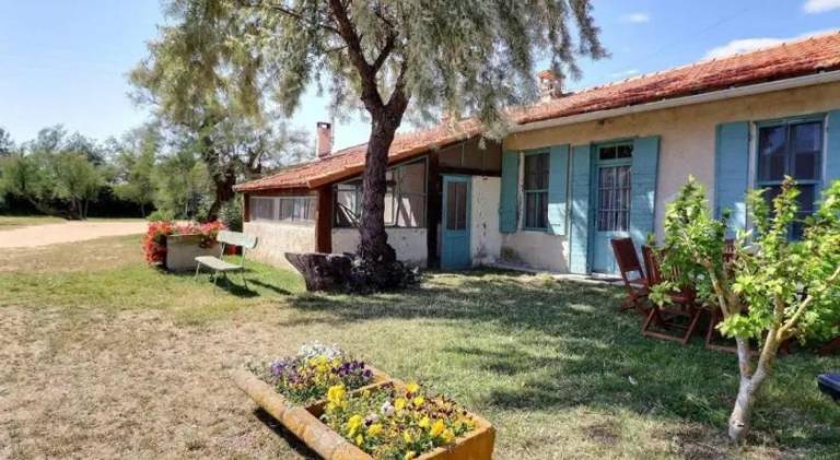 Fully equipped pleasant vacation home with barbeque, heated pool & terrace | Pets are welcome in Arles