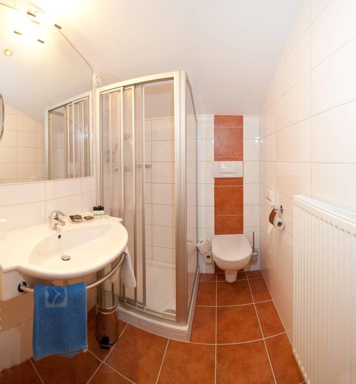 Child-friendly apartment with garden, sauna & jacuzzi | Ski nearby | Pets are welcome — photo 4