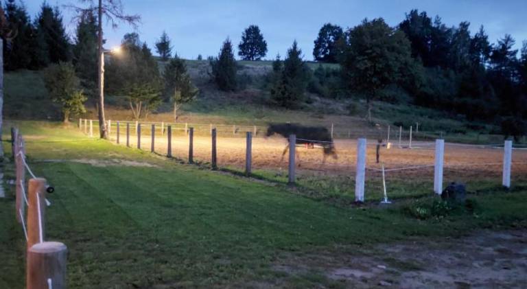 foto12