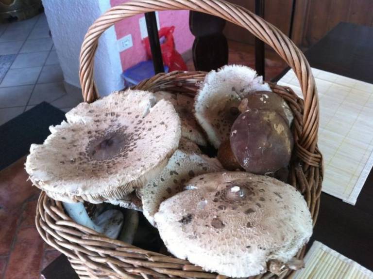 foto38