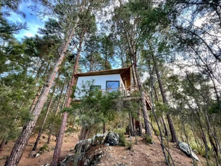 Ferienhaus  Icod