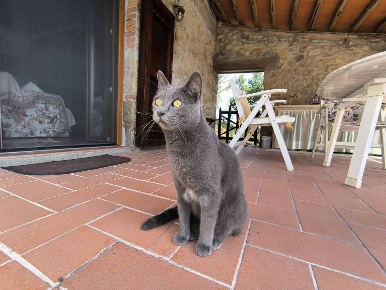 foto43