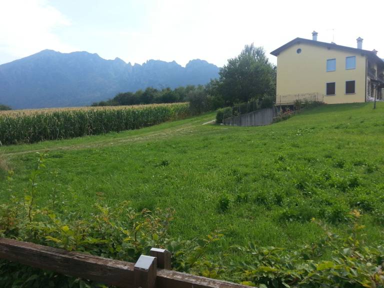Apartment with garden & BBQ — photo 4
