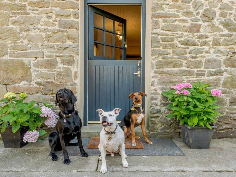 Fully equipped wonderful cottage with garden | Dogs allowed — photo 2