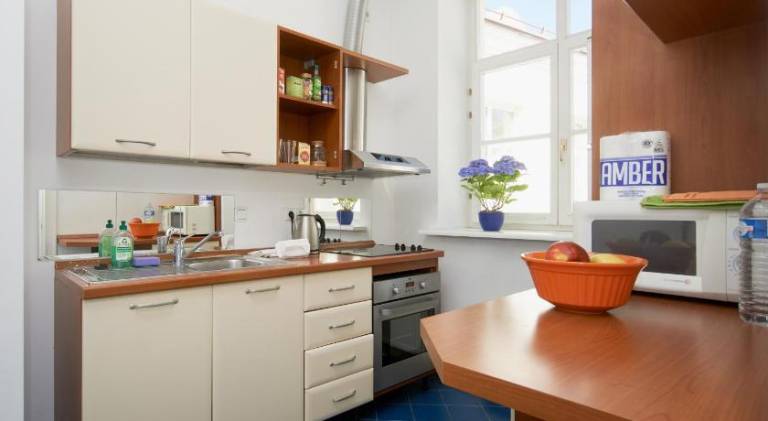 Apartment | Near St. Anne's Church — photo 3
