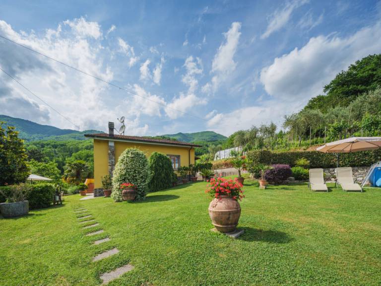 foto2