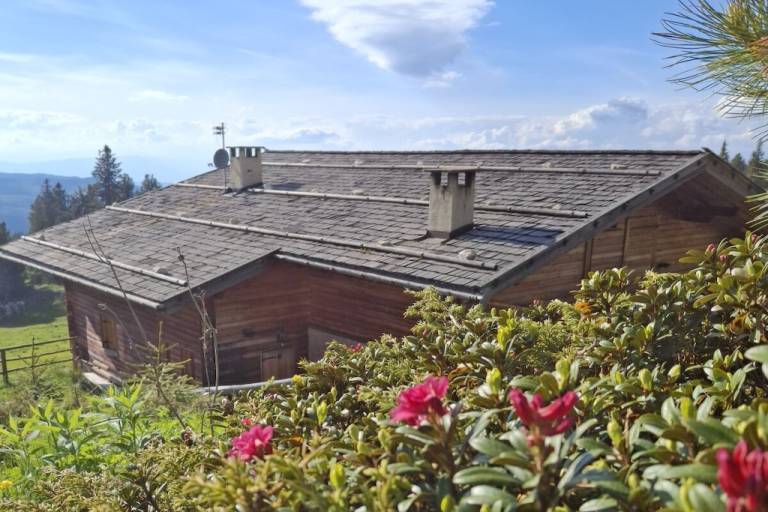 Chalet Obereggen