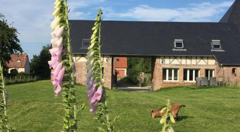House with terrace, sauna & hot tub in Dieppe