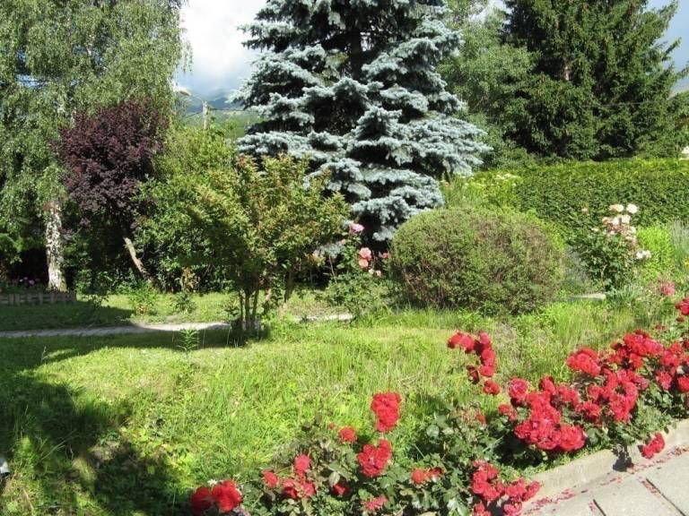 foto14