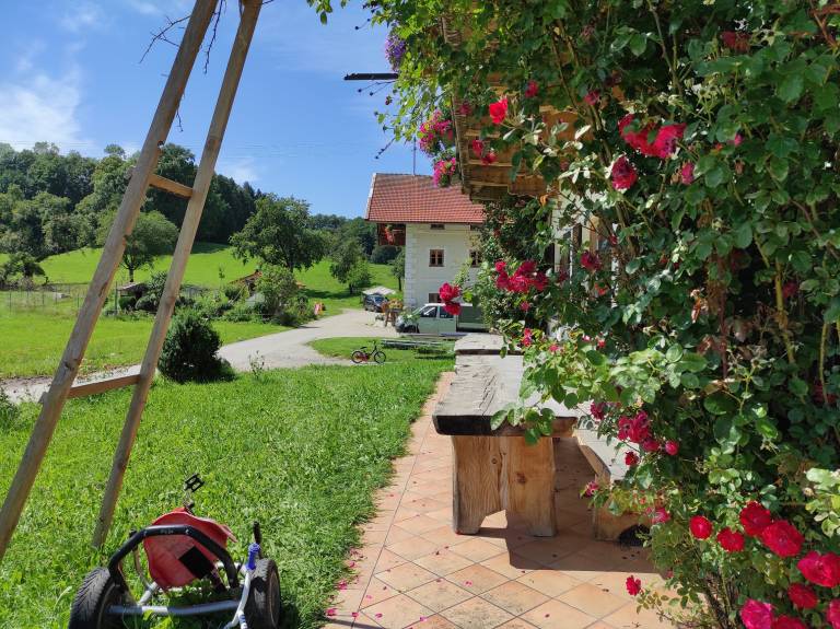 foto14
