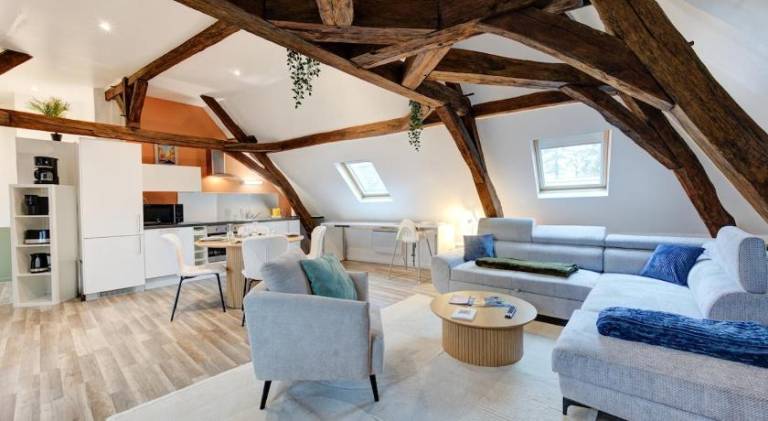Rental apartment | Suitable for remote work in Tours