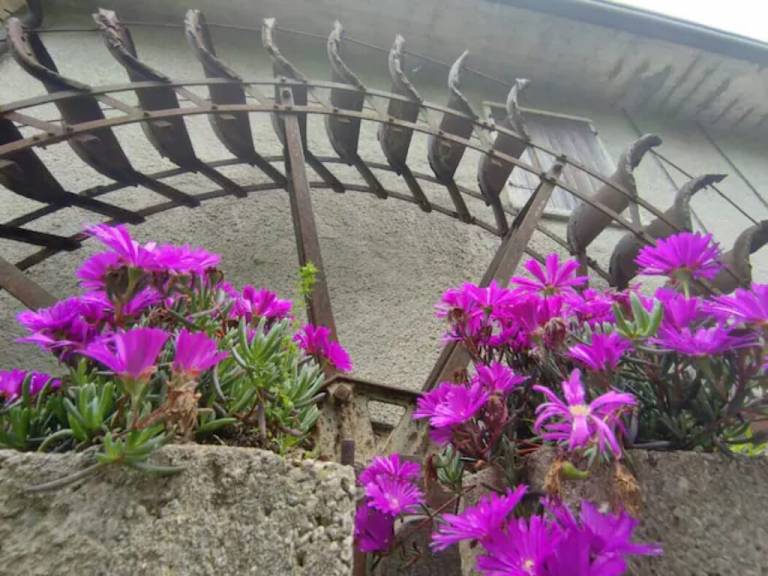 Appartamento San Martino Buon Albergo